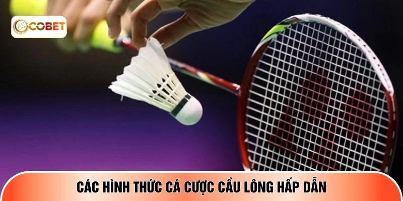 Các hình thức cá cược cầu lông hấp dẫn