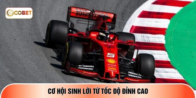 Cơ hội sinh lời từ tốc độ đỉnh cao