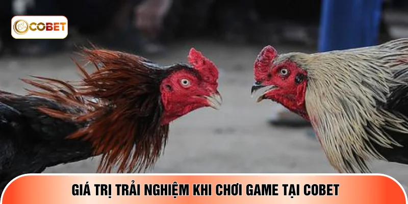 Giá trị trải nghiệm khi chơi game tại COBET