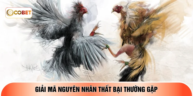 Giải mã nguyên nhân thất bại thường gặp