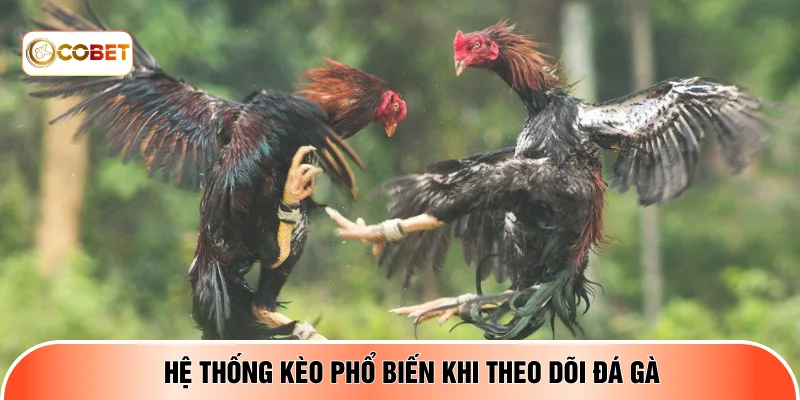 Hệ thống kèo phổ biến khi theo dõi đá gà