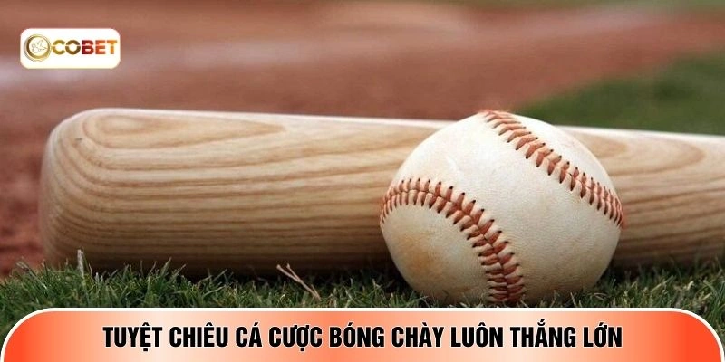 Tuyệt chiêu cá cược bóng chày luôn thắng lớn